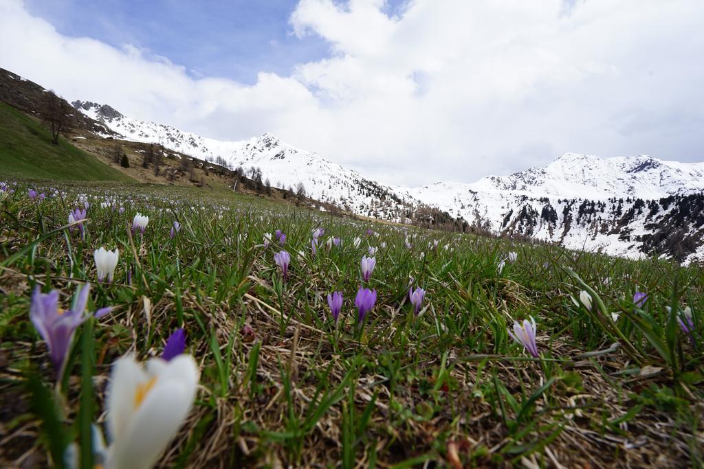 Unterhabererhof Lejlighed Santa Maddalena in Casies Eksteriør billede