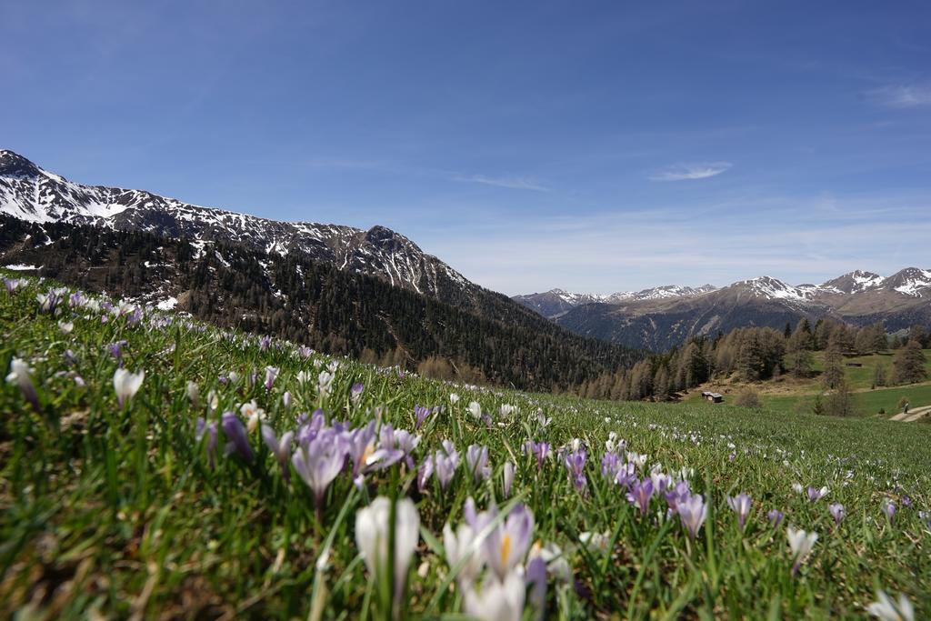 Unterhabererhof Lejlighed Santa Maddalena in Casies Eksteriør billede