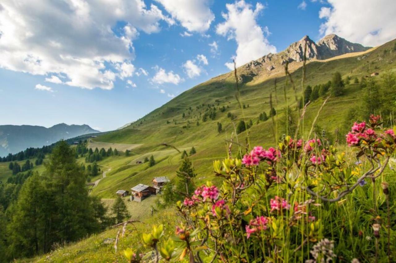 Unterhabererhof Lejlighed Santa Maddalena in Casies Eksteriør billede